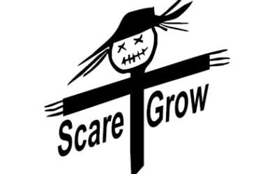 Woher kommt der Name “ Scaregrow“ ?